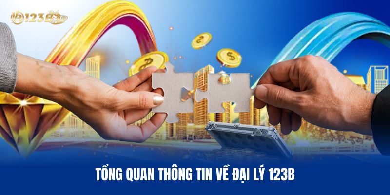 Tổng Quan Thông Tin Về Đại Lý 123B